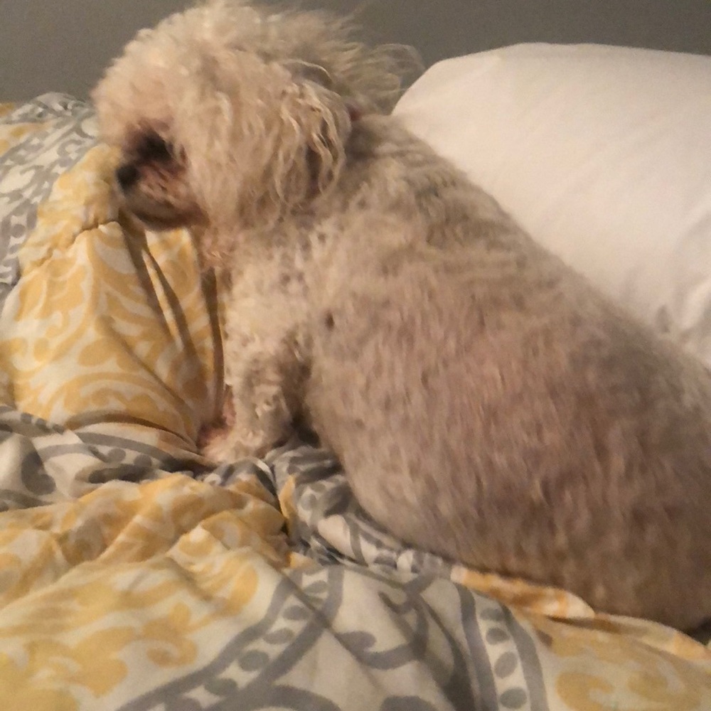 I will not sale anything I have listed